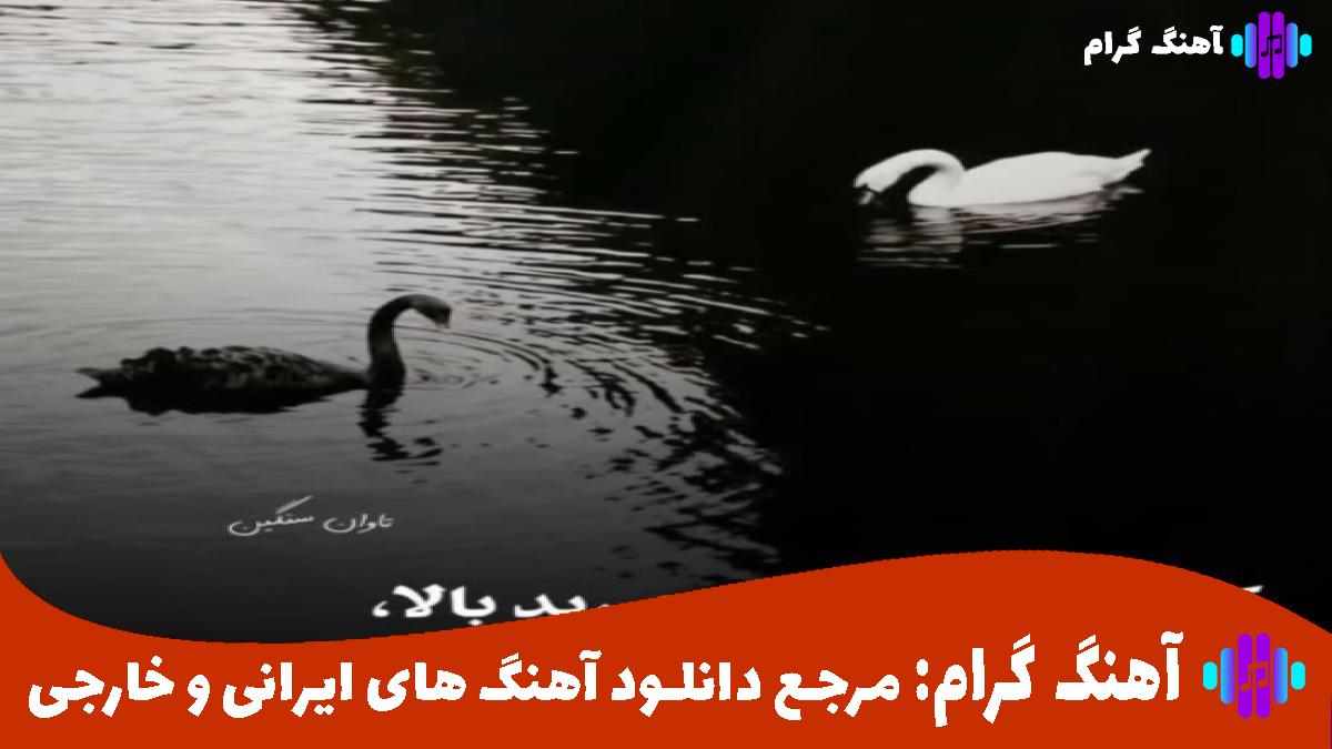 کاور آهنگ ولی سر تو همه دورمو خط زدن از